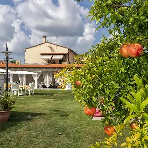 Colorado Bed & Breakfast Pisa